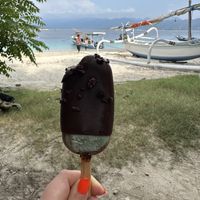Peppermint chocolate Ice cream   at The Banyan Tree in 
