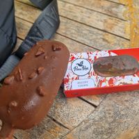 Tons of vegan ice creams to choose from! at The Banyan Tree in 