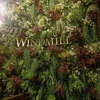  at Windmill Restaurant in Paphos