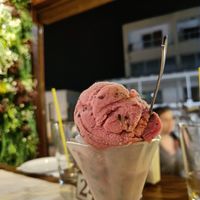 Raspberry ice cream, vegan at Windmill Restaurant in Paphos