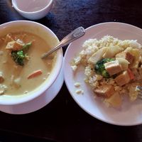 Yellow curry with tofu. Great yellow curry! at Square Lotus in Bellevue