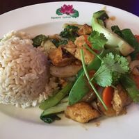 Tofu and veggies.  So yummy!!!!!  at Square Lotus in Bellevue