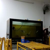 fish tank! at Thien Tam in Dong Ha