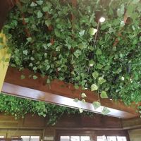 Interior local at Veggie's World in Andorra La Vella