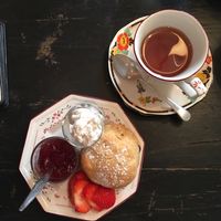 vegan cream tea  at Debbie Bryan - Nottingham City Centre in Nottingham