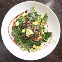 Specials change regularly and always include veg options.  at Jerf Whole Food Cafe in Lorn