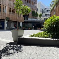   at Scheckter's Raw in Cape Town