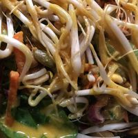 Rainbow salad  at Pure Ktchn in New York City