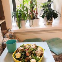 Falafel bowl at Pure Ktchn in New York City