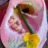  at Fenicie in Purmerend