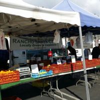 Fresh Produce Vendors at Farmer's Market - Midtown in Ventura