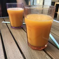   at BioXoco in Barcelona