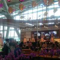 Outside at LHR - Itsu - T5 in West London