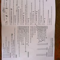 Menu  at La Flaca - Americana in Guadalajara