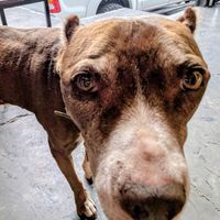  at La Flaca - Americana in Guadalajara