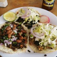 Vegan tacos with refried beans, mushroom and soy crumble at La Flaca - Americana in Guadalajara