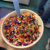 Small vanilla cup with rainbow sprinkles   at Wilton Creamery in Wilton Manors