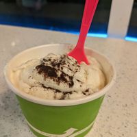 Vegan vanilla with chipotle coco powder (tasted like nothing). at Wilton Creamery in Wilton Manors