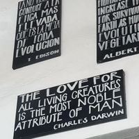   at Veggitalia in Puerto Vallarta