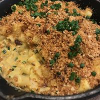 Miso Mac and cheese with sourdough crumb - delicious! Perfect mix of textures  #Veganuary at Plants by Deliciously Ella in London