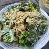 Macadamia parmesan salad at Plants by Deliciously Ella in London