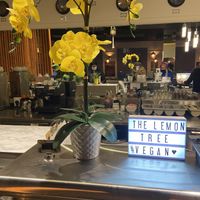   at The Lemon Tree in St Catharines