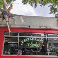 Outside at Paraíso Vegano in Mexico City