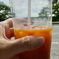 Thai iced teaa  at Emmy's Vege House in Bainbridge Island