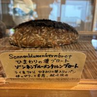   at Kirschblute in Osaka