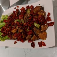 Si Chuan Chili Chicken at Green on Earth 绿之天地 in West Singapore