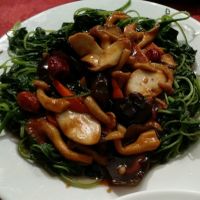 mushrooms and veg  at Green on Earth 绿之天地 in West Singapore