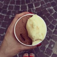 Vegan Vanilla & Nocciola  at Stefano Dassie in Treviso