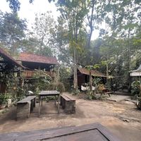   at Simple Plant  in Yogyakarta