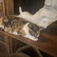   at Simple Plant  in Yogyakarta