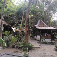  at Simple Plant  in Yogyakarta