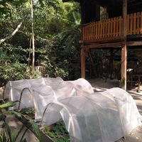  at Simple Plant  in Yogyakarta