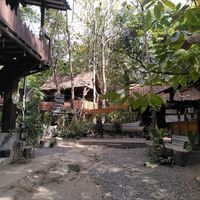  at Simple Plant  in Yogyakarta