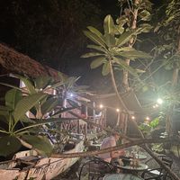 Magic garden  at Simple Plant  in Yogyakarta