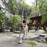   at Simple Plant  in Yogyakarta