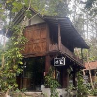   at Simple Plant  in Yogyakarta