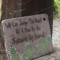  at Simple Plant  in Yogyakarta