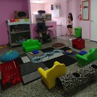 Cats indoor playground at Cat Cuddle Cafe in Lutwyche