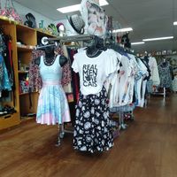 Op shop with plenty of cat finds. at Cat Cuddle Cafe in Lutwyche