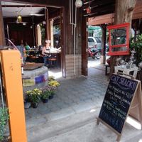 Exterior at Cat House Chiang Mai - Cat Shack in Chiang Mai