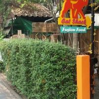 street front at Cat House Chiang Mai - Cat Shack in Chiang Mai