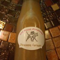 Homemade kombucha at Cat House Chiang Mai - Cat Shack in Chiang Mai