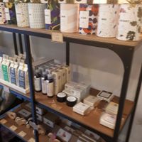 More organic products at Cactus General Store in Bordeaux