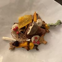 Gland, Lyokan, Butternut at ONA in Ares