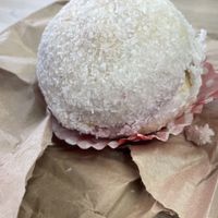 Snowball  at Picnic in Glasgow