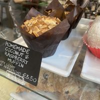 Muffin   at Picnic in Glasgow